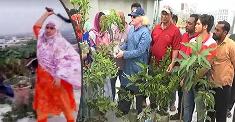 ক্ষতিগ্রস্ত ছাদ বাগান মালিককে গাছ উপহার