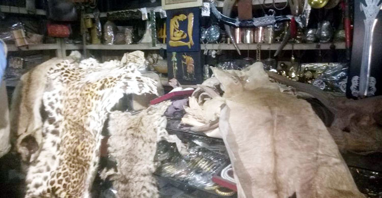 বন্যপ্রাণীর চামড়া বিক্রি : পরীবাগ সুপার মার্কেটে অভিযান