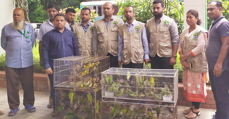 দেশীয় প্রজাতির সাড়ে ৬ শতাধিক পাখি উদ্ধার