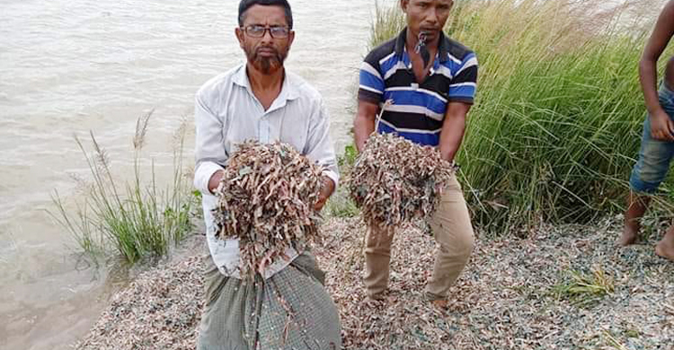 ময়লার ভাগাড়ে ছেঁড়া টাকার যে ব্যাখ্য‌া দিল কেন্দ্রীয় ব্যাংক‌