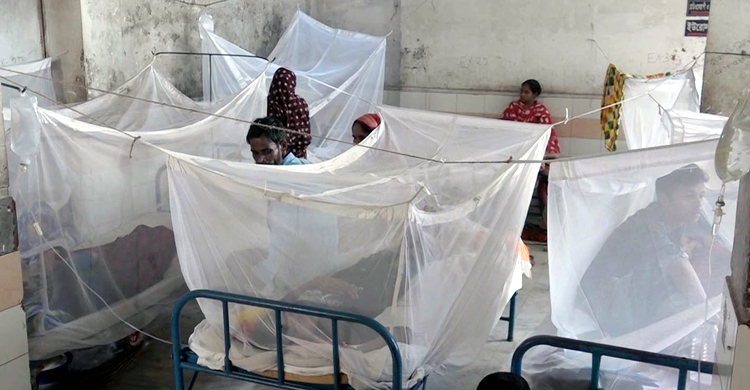 সাভারে ডেঙ্গুতে মৃতের সংখ্যা বেড়ে ৭