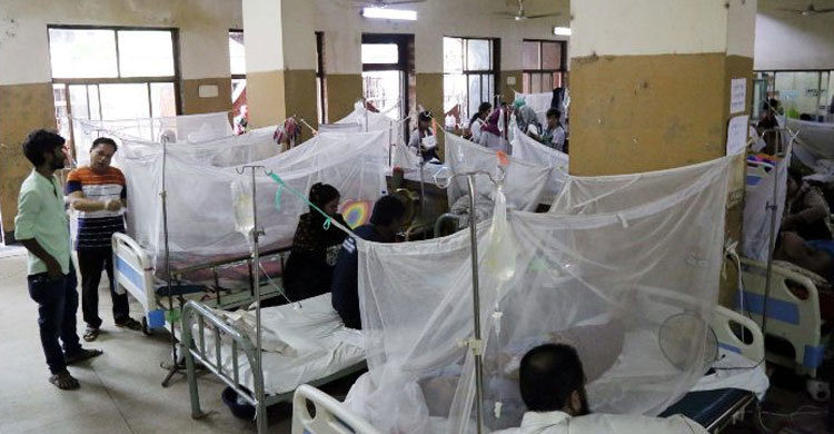 রাজবাড়ীতে নতুন করে ৩ ডেঙ্গু রোগী শনাক্ত