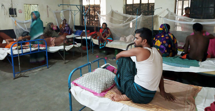 ডেঙ্গুতে আক্রান্ত কম, মৃত্যু বেশি নারীর