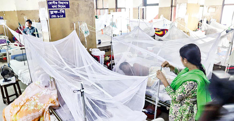 ডেঙ্গুতে ৮৩ হাজার ৯৮৯ জন হাসপাতালে ভর্তি