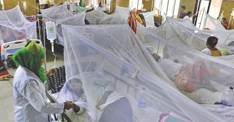 কুষ্টিয়ায় এবার ডেঙ্গুতে কলেজছাত্রের মৃত্যু