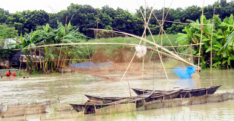 প্রভাবশালীরা জড়িত তাই পদক্ষেপ নেয় না প্রশাসন