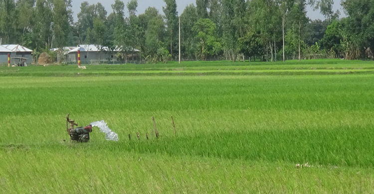 Gaibandha-water