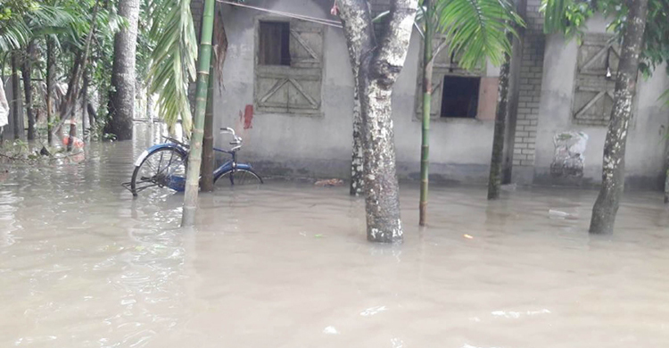 তিস্তার পানি কমলেও বাড়ছে দুর্ভোগ, পানিবন্দি ২০ হাজার পরিবার
