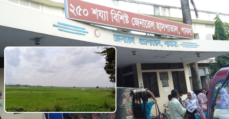 জমিতে কীটনাশক ছিটাতে গিয়ে প্রাণ গেল কৃষকের