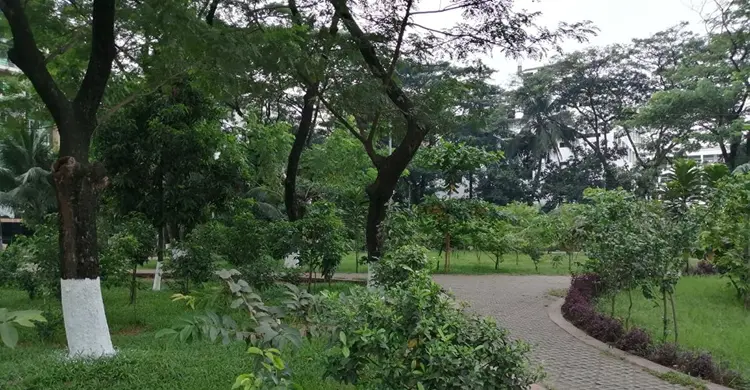 উত্তরা ৭ নম্বর সেক্টরে একখণ্ড সবুজায়ন
