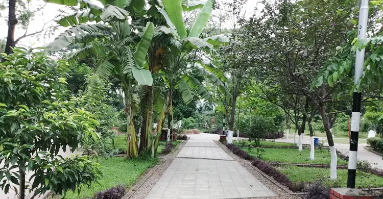 park