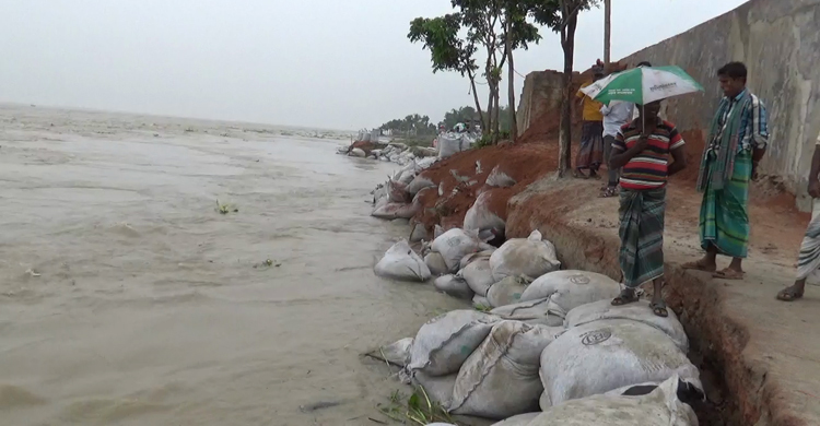 রাজবাড়ীতে স্কুলসহ চার পয়েন্টে ভাঙন