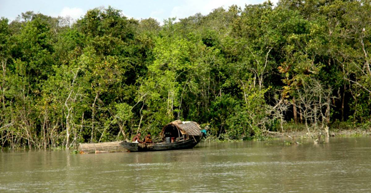 Plan underway to monitor Sundarbans with drones