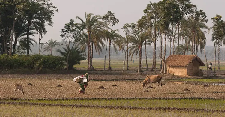 আবহাওয়ার খবর | বুধবার, ২৫ মার্চ ২০২৬
