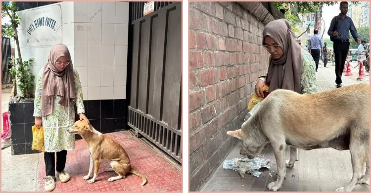 মানুষের পাশাপাশি পথকুকুরদের নির্ভরতা তরুণ চিকিৎসক প্রত্যাশা