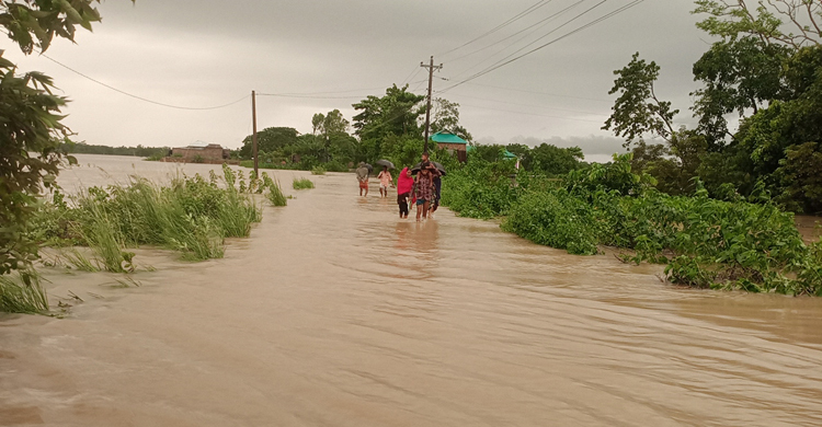 ডুবে গেছে সুনামগঞ্জ-তাহিরপুর সড়ক, ভোগান্তিতে ৫০ হাজার মানুষ