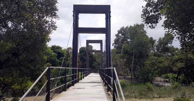 তিনমাস বন্ধ থাকার পর মধ্যরাতে খুলছে সুন্দরবন