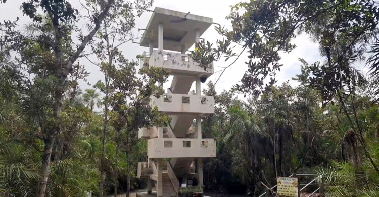 তিনমাস বন্ধ থাকার পর মধ্যরাতে খুলছে সুন্দরবন