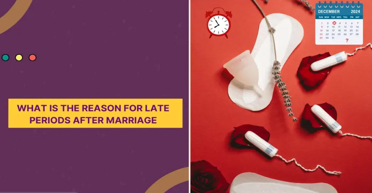 বিয়ের পর মাসিক বন্ধ? ডাক্তাররা যা বলছেন!