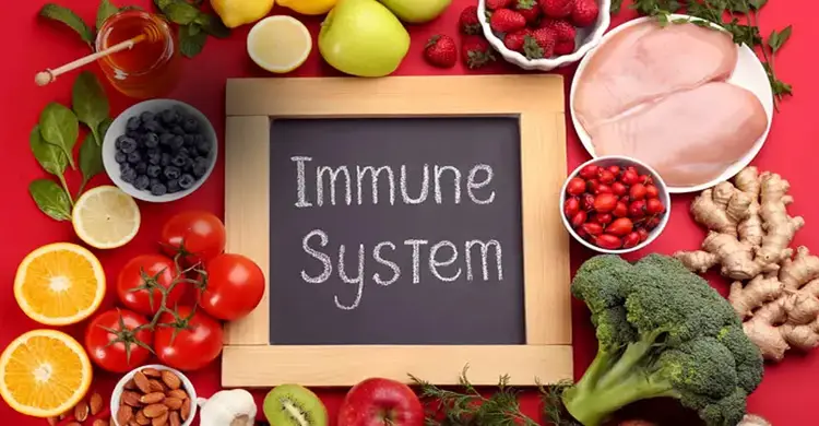 শীতে রোগ প্রতিরোধ ক্ষমতা বাড়াতে যে খাবার খাবেন