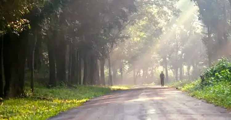 শীতে ফিট থাকতে বাইরে নয়, ভরসা রাখুন ঘরোয়া শরীরচর্চায়