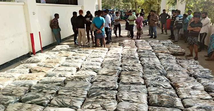 সীতাকুণ্ডে ৯ লাখ টাকার জাটকা জব্দ, গেলো এতিমখানায়