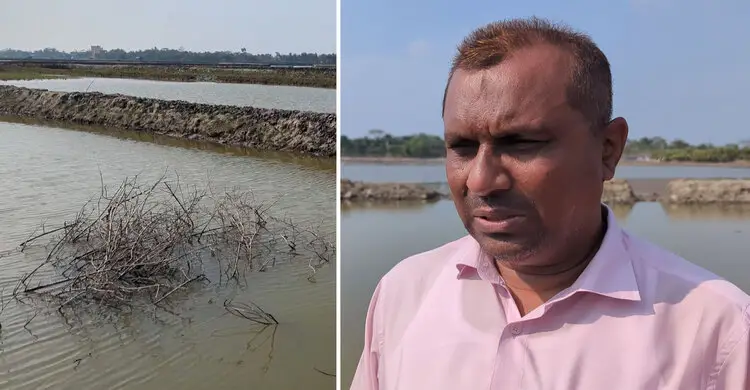মোংলায় রাতে চিংড়ি ঘেরের বাঁধ কেটে লাখ টাকার ক্ষতি