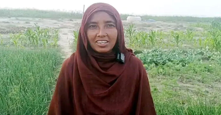 নির্বাচনি জোয়ারে গণভোট প্রচারে ভাটা