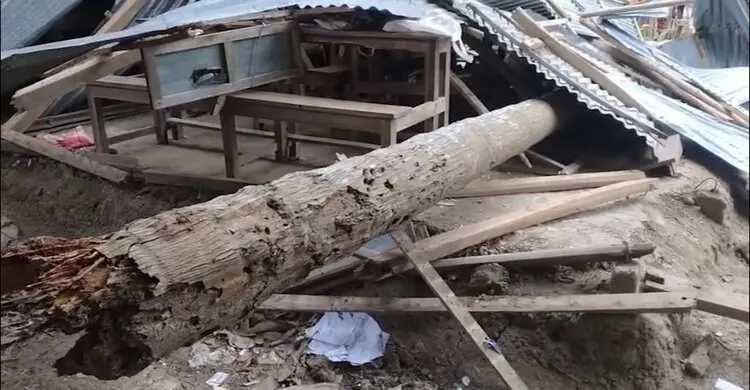 নড়াইলে শ্রেণিকক্ষে ক্লাস চলাকালে ঝড়ে গাছ ভেঙে পড়ে আ'হ'ত ২ শিক্ষার্থী