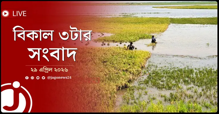 বিকাল ৩টার নিউজ আপডেট | বুধবার, ২৯ এপ্রিল ২০২৬
