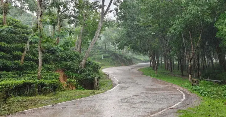 মৌলভীবাজারে দেশের সর্বোচ্চ বৃষ্টিপাত রেকর্ড