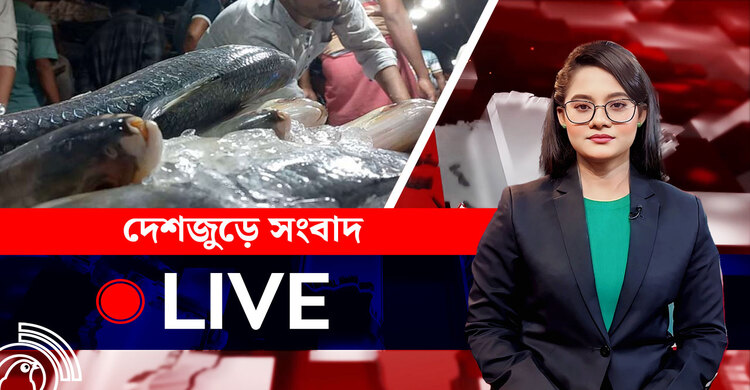 দেশজুড়ে সংবাদ | শুক্রবার, ০৮ আগস্ট ২০২৫