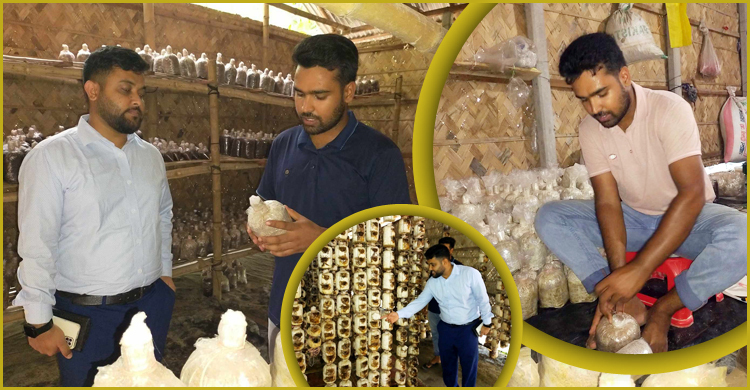 পড়াশোনার পাশাপাশি মাশরুম চাষে সফল সাগর