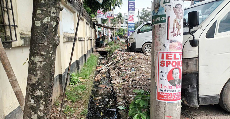 ড্রেনের পানিতে কিলবিল করে লার্ভা, ডেঙ্গুঝুঁকিতে বাসিন্দারা