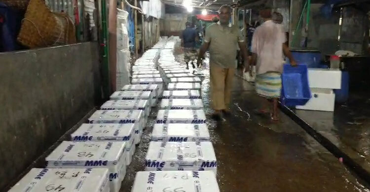 বরিশাল থেকে ভারত গেলো ১৯ টন ইলিশ