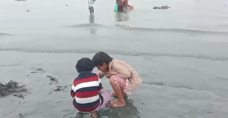 নদী দূষণ: মেঘনায় ভেসে উঠছে মরা মাছ