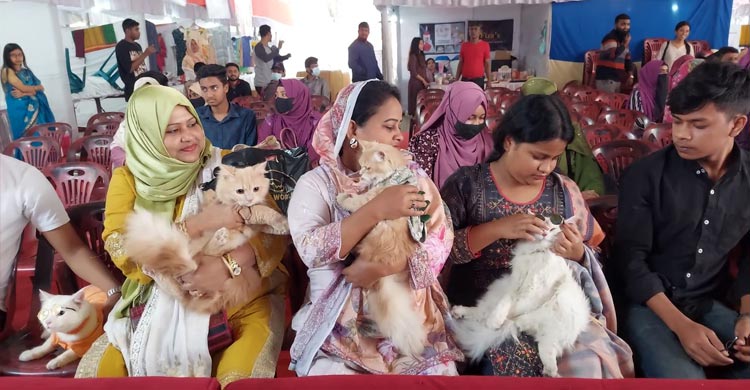 লালগালিচায় ব্যতিক্রমী &lsquo;ক্যাট শো&rsquo;