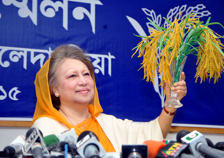 দুই শতাধিক আসনে আসতে পারে ধানের শীষের সবুজ সংকেত