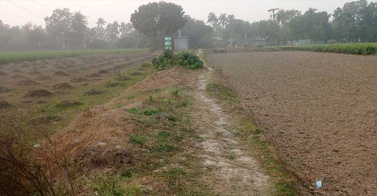 সরকারি নলকূপ নিজের বলে দাবি, অনাবাদি শতবিঘা জমি