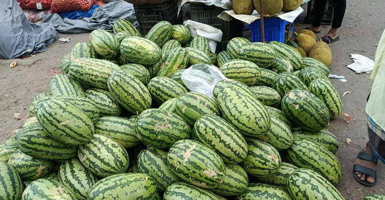 সরবরাহ কমের অজুহাতে বেড়েছে তরমুজের দাম