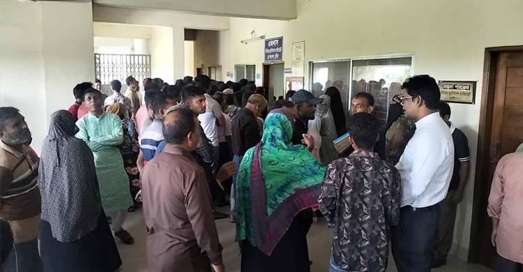 মহিষ লুটের মামলায় বিএনপির ১১ নেতাকর্মী কারাগারে