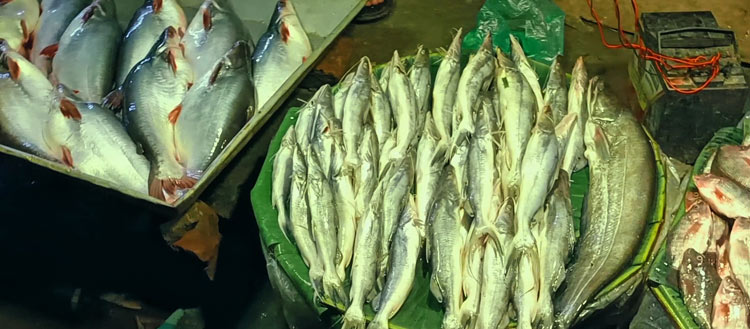 খুলনায় সবজির দামে স্বস্তি