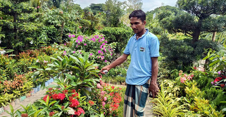 বৃক্ষমেলায় ‘বিলুপ্তপ্রায়’ যত গাছ