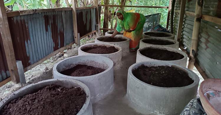 কেঁচো সারে স্বাবলম্বী মাদারীপুরের রাশিদা