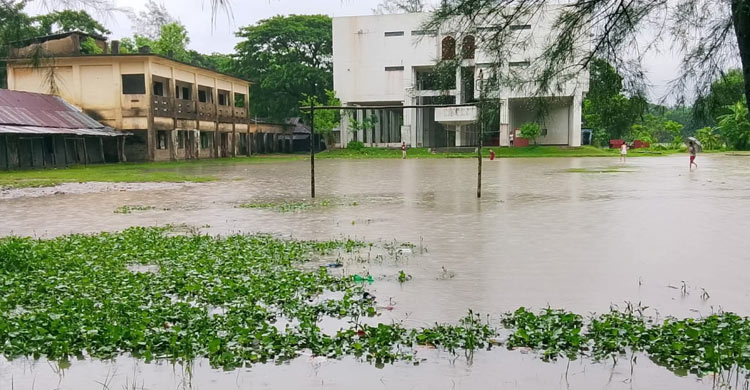 নোয়াখালীতে টানা বৃষ্টিতে জলাবদ্ধতা, সীমাহীন দুর্ভোগ
