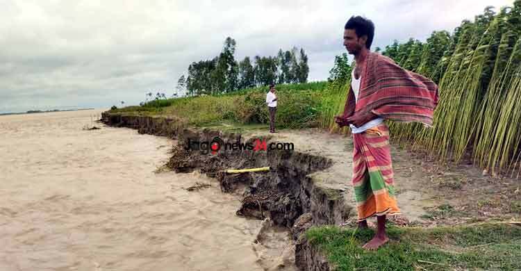নদীভাঙনে বিলীন হচ্ছে ফসলি জমি ও ঘরবাড়ি