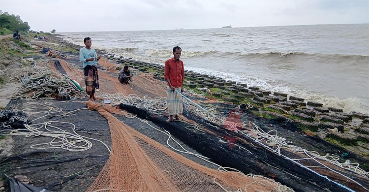 সাগরে মাছ কম, হতাশ জেলেরা