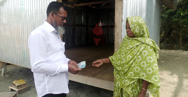এক মণ কচুরিপানা বিক্রির টাকায় মিলছে দুই মণ ধান