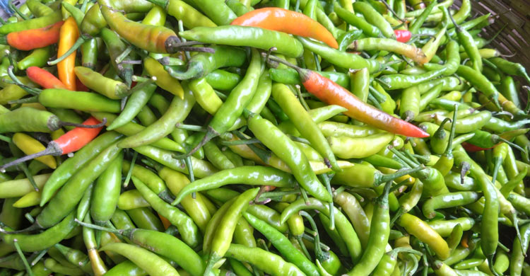 রংপুরের বাজারে চড়া পেঁয়াজ-মরিচ