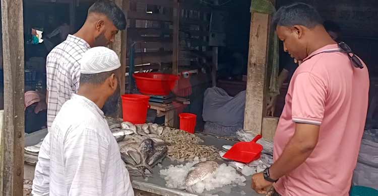 ফের জেলের জালে বড় ইলিশ, বিক্রি ৫ হাজারে